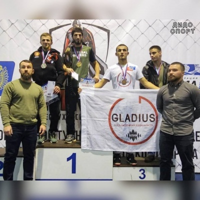 Обзор спортивных достижений наших земляков - спортсменов
