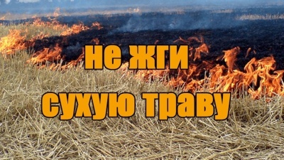 Не жги сухую траву!!!!!