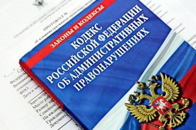 Уважаемые родители! Обратите внимание с 11.08.2025 года вступили в законную силу внесенные изменения в статью 5.35 Кодекса РФ об АП